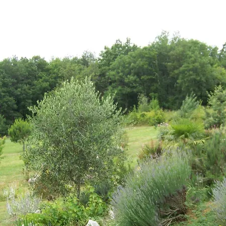 Casa de Férias Maison D'artiste *