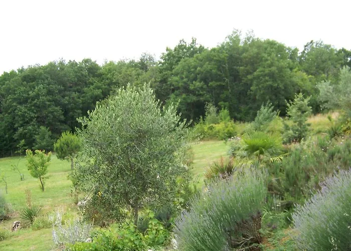 Casa de Férias Maison D'artiste *